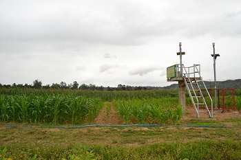 Calibration, validation and application of CERES-Maize model for climate change impact assessment in Abuan Watershed, Isabela, Philippines