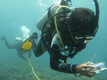 Modeling of degraded reefs in Leyte Gulf, Philippines in the face of climate change and human-induced disturbances