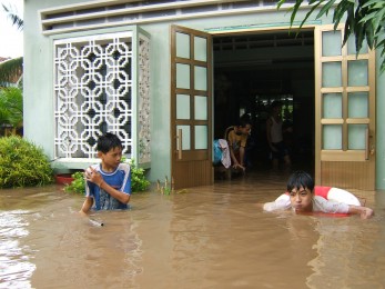 The Role of Traditional Ecological Knowledge in the Disaster Risk Management Strategies of Island Communities in Cat Hai, Vietnam