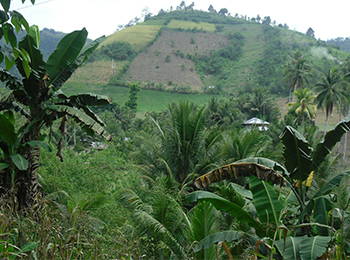 Climate Change Impacts and Transformative Adaptation Strategies among Farming Households in the City of Koronadal, Philippines
